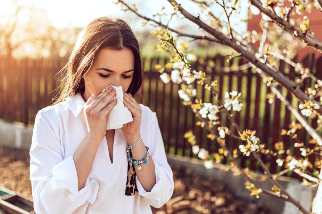© Les allergies aux pollens reviennent en force cette semaine à Bordeaux - Pixabay