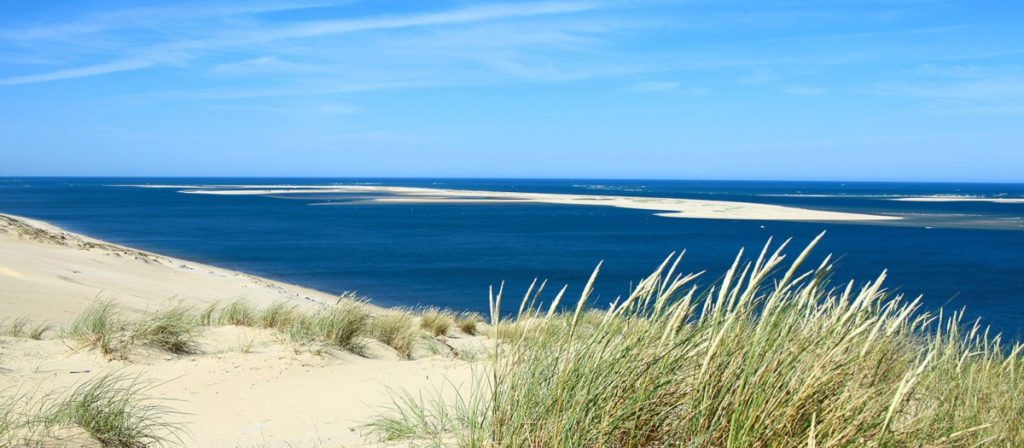 © Le banc d'Arguin évolue chaque année obligeant la préfecture de changer la délimitation de la ZPI - Site Officiel Bassin d’Arcachon