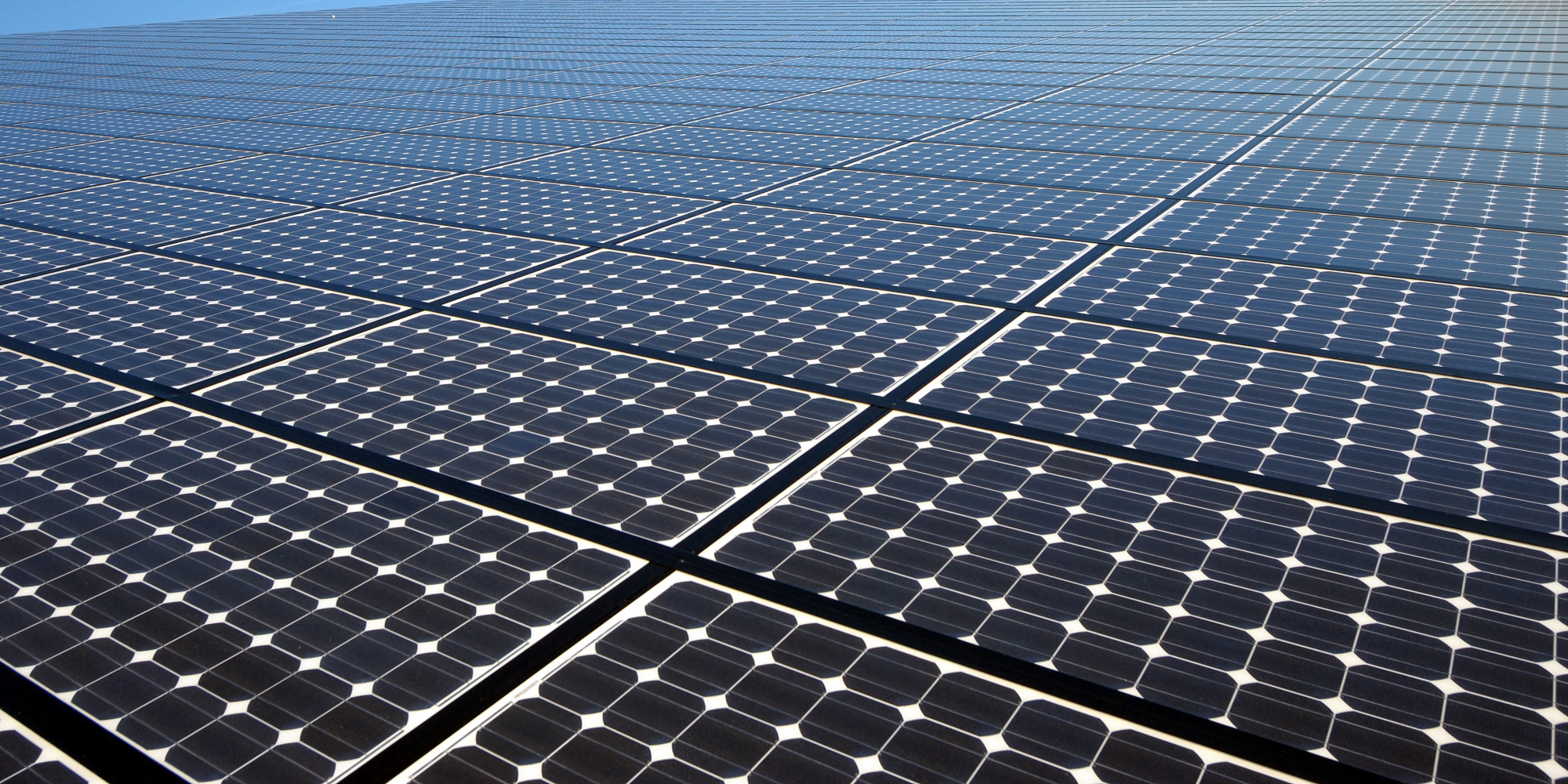 Un projet de centrale solaire entraînant la destruction de 1.000 hectares  de forêt à 30 minutes de Bordeaux