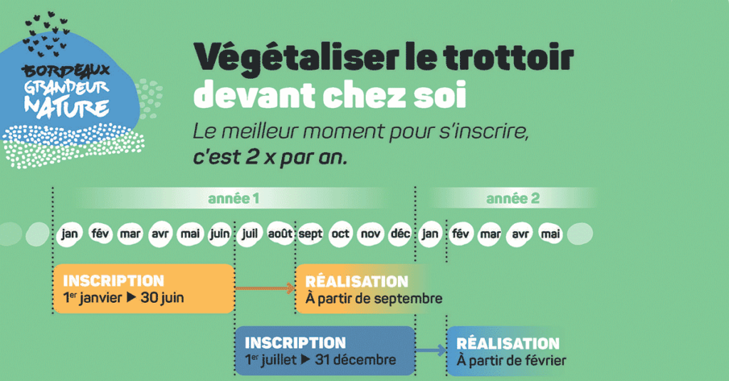 © La végétalisation des façades commencera dès janvier prochain - Mairie de Bordeaux