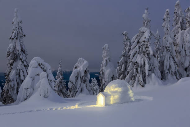 © Une soirée dans un igloo au coeur d'une réserve naturelle - Pixabay