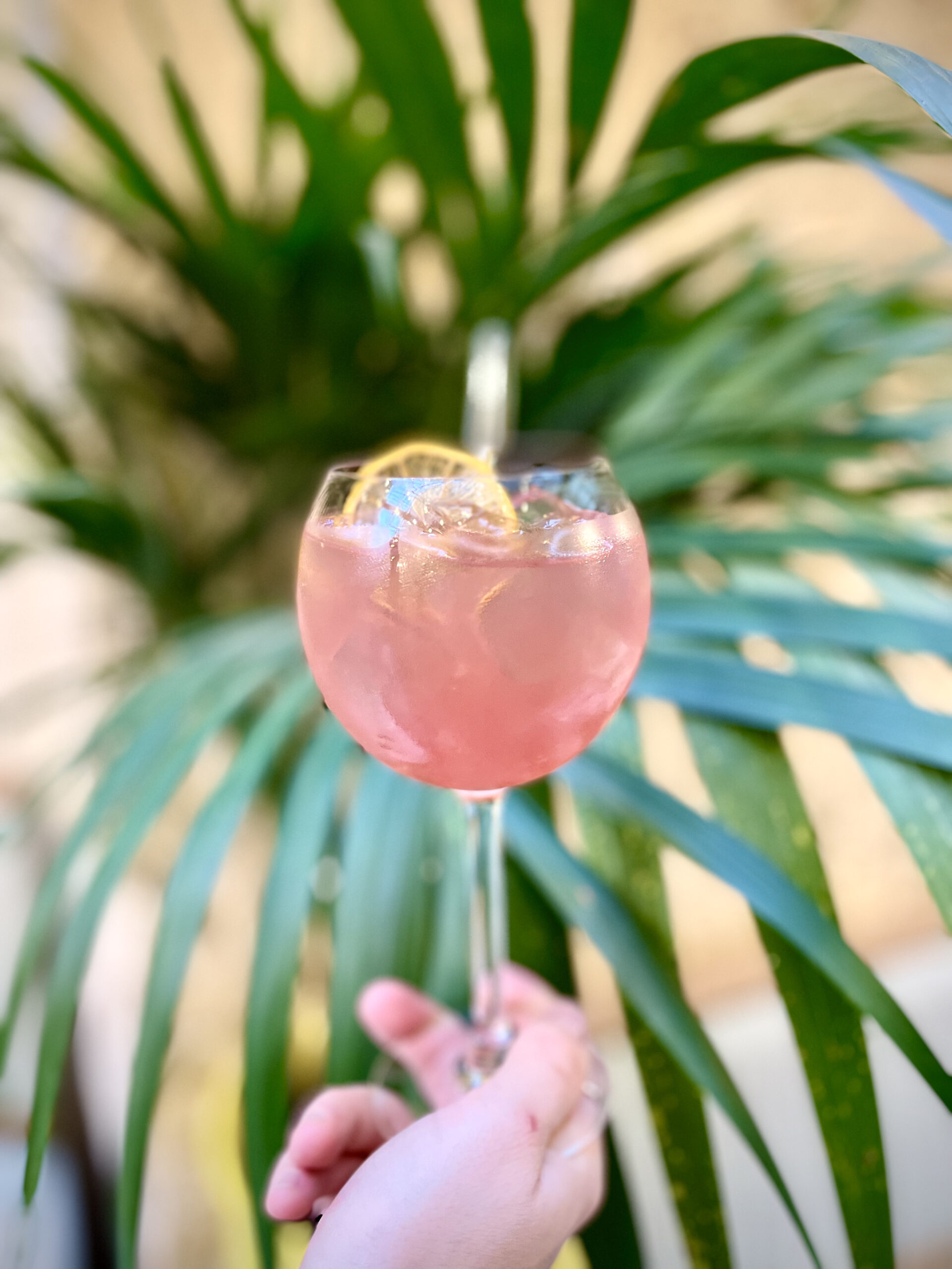 Casa Gaïa, des cocktails maison 