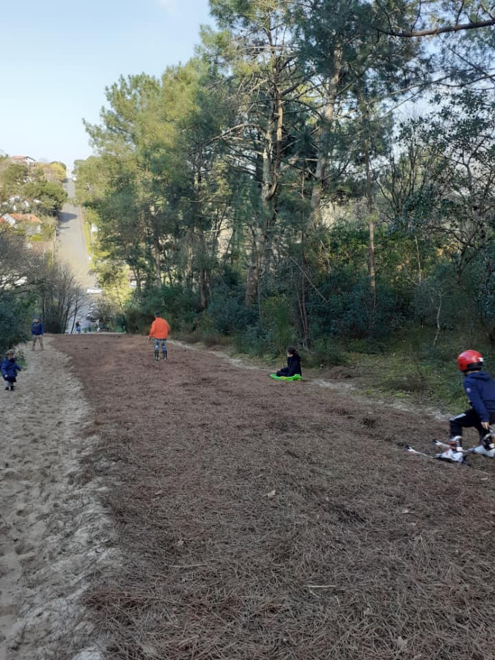 © La piste de ski sur aiguilles de pin du Bassin d'Arcachon a une longueur de 200 mètres - Ski sur Aiguilles de Pins/Facebook