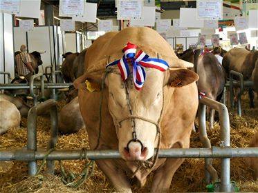 © Le Salon de l'Agriculture à Bordeaux réserve des rencontres atypiques mais toujours au naturel - Salon de l'Agriculture de Nouvelle-Aquitaine