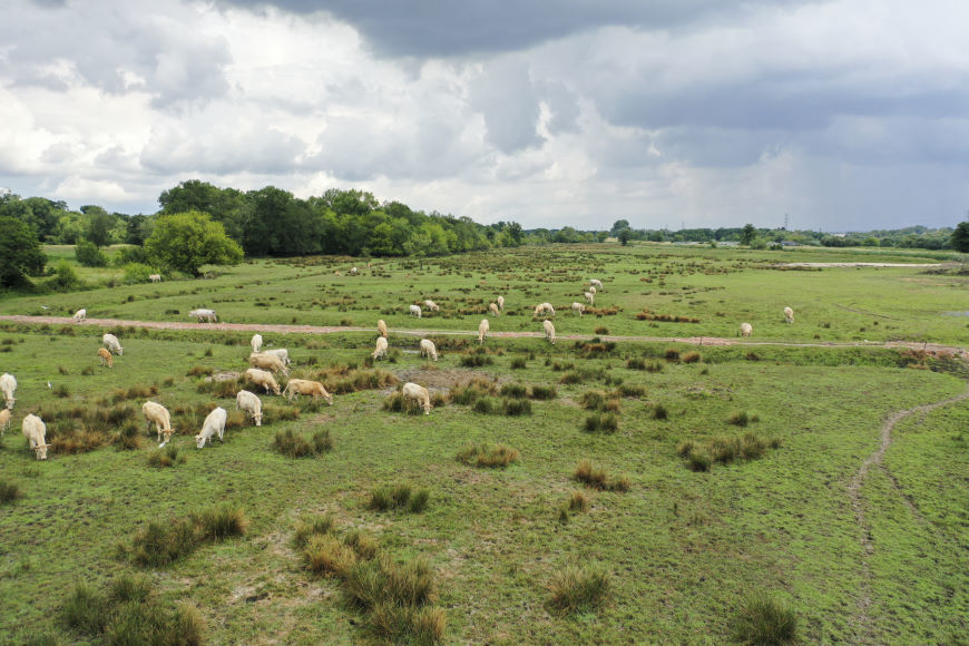 © Son côté agricole ressort avec des pâturages et des fermes présents dans le parc - Bordeaux Métropole