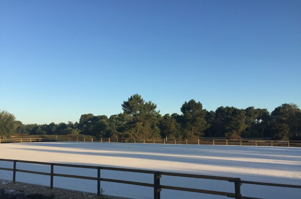 Haras de l’Artolie : un havre de paix pour les cavaliers à proximité de Bordeaux 