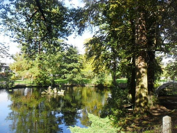 © Le parc de l'Épinette est l'un des plus beaux de Libourne - TripAdvisor 
