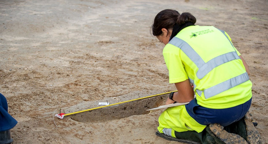 © Plus de 250 sépultures sont en cours de traitement à Saint-Médard-en-Jalles - Bordeaux Métropole