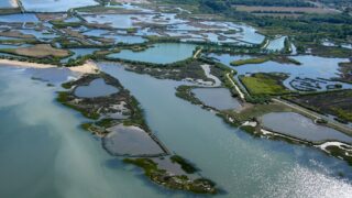 Devenez passionné le temps d&rsquo;une visite à la Réserve ornithologique du Teich