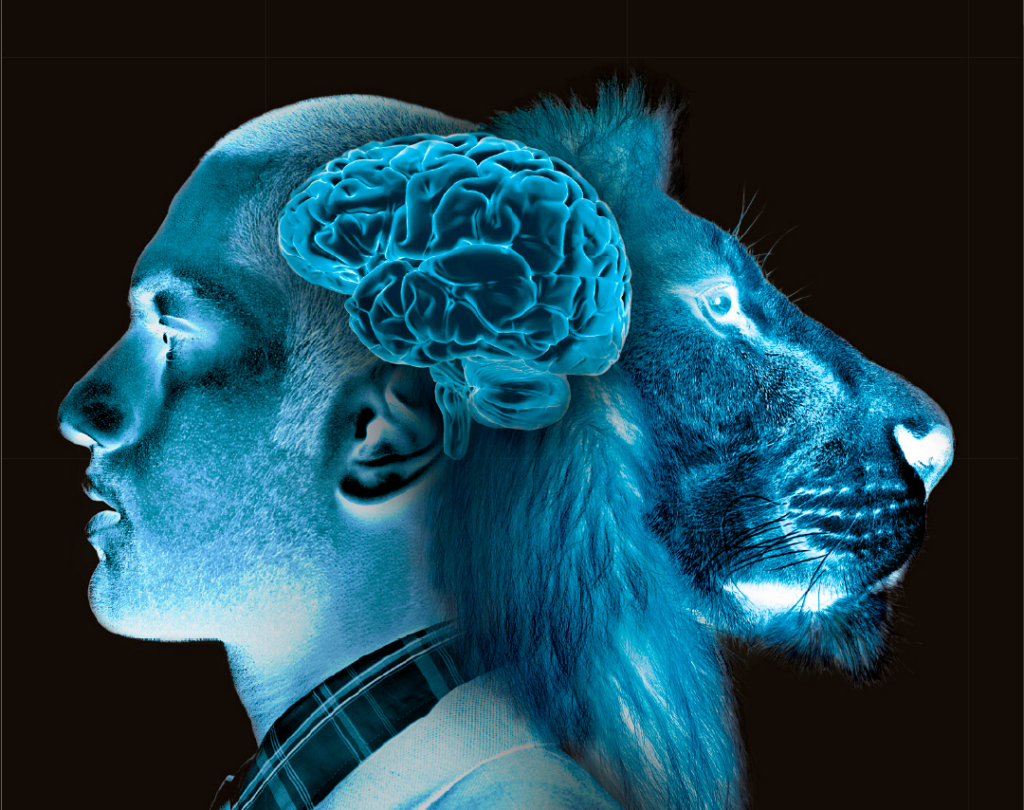 Cervorama vous invite à percer les secrets des cerveaux chez Cap Sciences