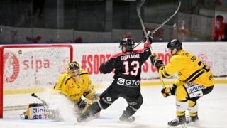 Boxers de Bordeaux : Frölunda, un rendez-vous de Ligue des champions mardi