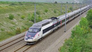 LGV Bordeaux–Toulouse : en Sud-Gironde, la contestation se déplace devant les abatteuses