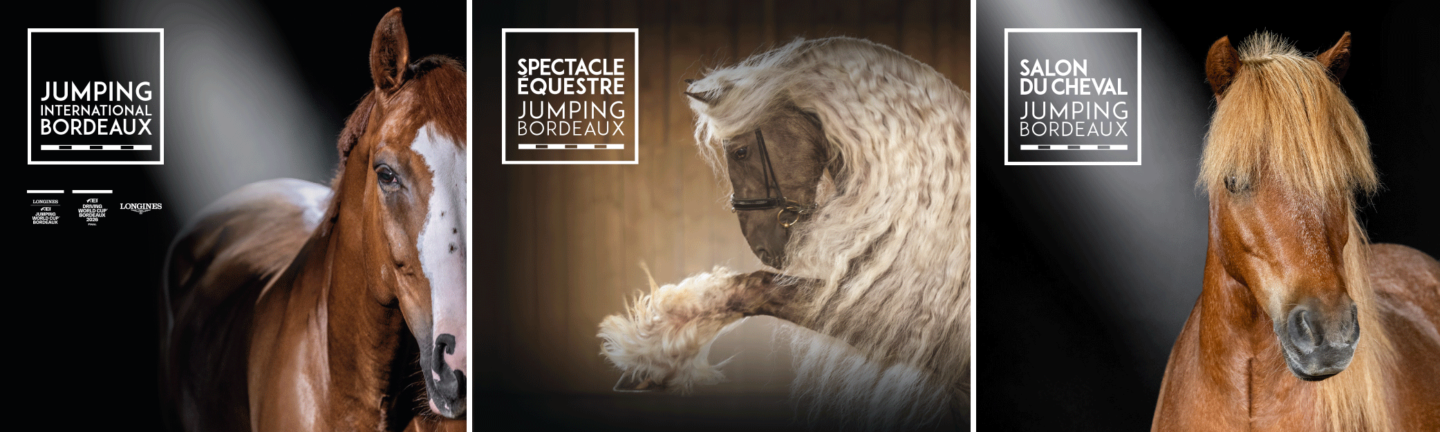 🐎 Top départ pour le Jumping de Bordeaux !