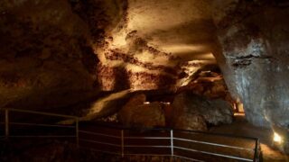 Grotte de Bara-Bahau : l’art pariétal au cœur de la vallée de la Vézère