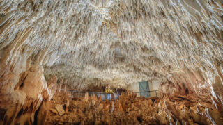 Périgord : la Grotte de Villars, un voyage souterrain à l&rsquo;ère préhistorique