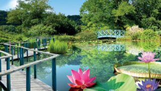 Les Jardins d’Eau de Carsac : une parenthèse végétale au cœur de la Dordogne
