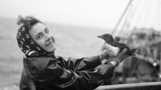 Quand la BD et la musique racontent Anita Conti à Bordeaux