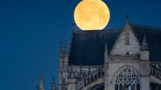 Où bouger à Bordeaux du 19 au 25 janvier ?