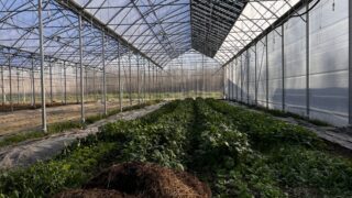 EnerVivo concrétise ses ambitions agrivoltaïques en Gironde