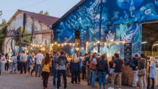 DRY31 : la fête sans alcool qui bouscule les codes débarque à Bordeaux