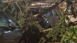 Tempête Nils en Gironde : 128 000 foyers privés d’électricité, rafales à 157 km/h et transports paralysés