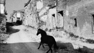 Le Grand Tour : Ferrante Ferranti expose 40 ans d’Italie à Bordeaux