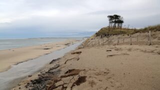 Près de la dune du Pilat, la plage du Petit Nice fermée face à l&rsquo;érosion côtière