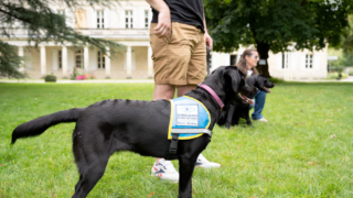 Bordeaux accueille une Grande Marche Solidaire !
