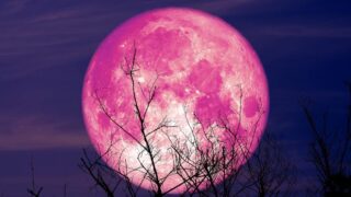 Une “Super Lune Rose” va illuminer le ciel de Bordeaux