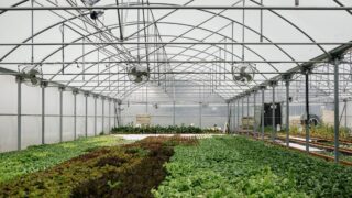 À Mérignac, une fête du printemps pour découvrir l’agriculture urbaine en famille