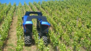 Gironde : à Targon, la viticulture bascule entre tradition et haute technologie