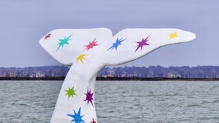 Arcachon : la célèbre queue de baleine fait son grand retour face à la plage