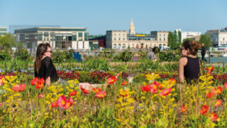 Où bouger du 20 au 26 avril à Bordeaux ?