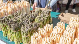 La fête de l’asperge attire des milliers de visiteurs dans cette ville de Gironde