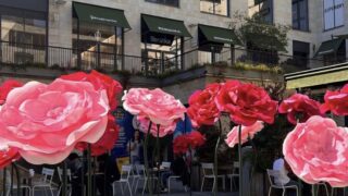 Bordeaux se pare de rose avec “La Vie en Rose” sur la Promenade Sainte-Catherine