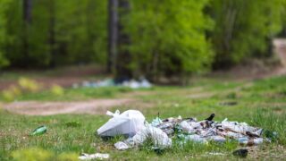 Une journée de ramassage de déchets ouverte à tous organisée en Gironde