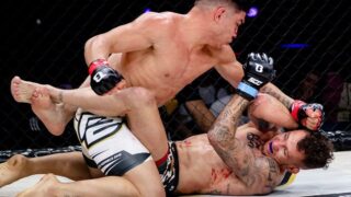 Tournoi, ceintures et combats choc : la grande nuit du MMA arrive à Bordeaux