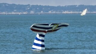 Bassin d’Arcachon : comment cette queue de baleine est devenue un symbole local