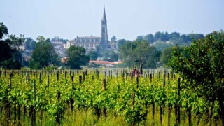Nature, océan, calme : ces villes de Gironde séduisent de plus en plus
