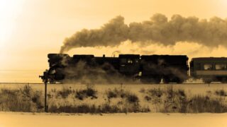 Nouvelle Aquitaine : sur l’île d’Oléron, cette ancienne voie ferrée cache une histoire oubliée