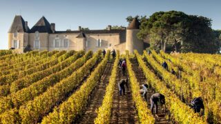 Gironde : Navi Nouvelle Aquitaine Viticulture Innovation prépare les métiers du vin de demain
