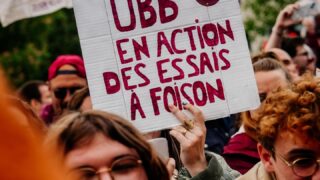 UBB ou Girondins : qui domine vraiment le sport à Bordeaux ?