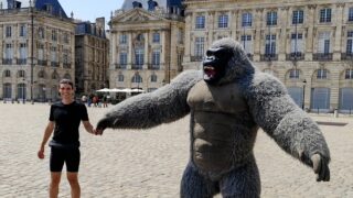 Bordeaux : l’homme déguisé en gorille agressé au couteau place de la Bourse