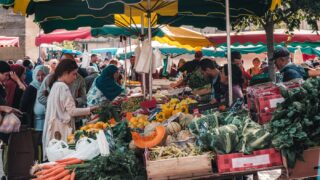 Saveurs locales et circuits courts : le Département de la Gironde met les producteurs à l’honneur