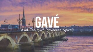 Bordeaux : le mot “gavé” entre officiellement dans le Petit Robert