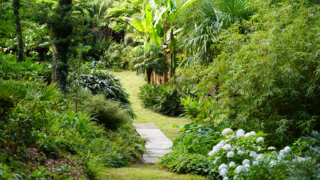 « Rendez-vous aux jardins » : les jardins de Nouvelle-Aquitaine à absolument découvrir !