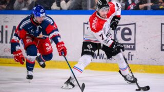 Boxers de Bordeaux : découvrez le calendrier complet de la saison 2026-2027