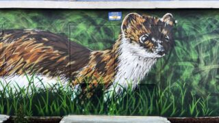 Qui est A-MO, le street artiste qui colore les murs de Bordeaux ?