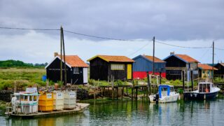 Bassin d’Arcachon : une journée festive dans les cabanes ostréicoles pour la Fête de la musique