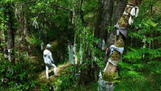 Les Landes autrement : 5 pépites secrètes entre forêt, histoire et légendes